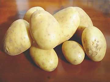 Patate